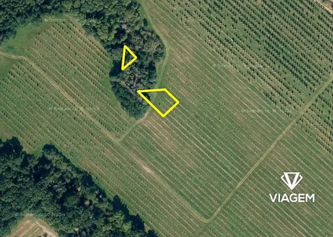 Prodej podílu lesa, Semtěš, 375 m2