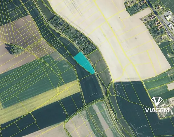 Prodej podílu pole, Džbánov, 1578 m2