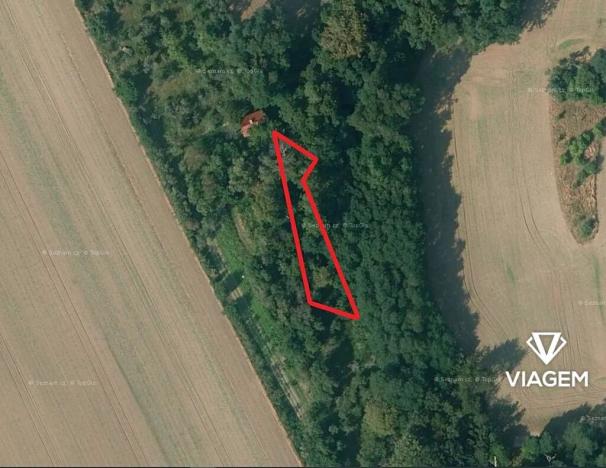 Prodej zahrady, Kojice, 500 m2