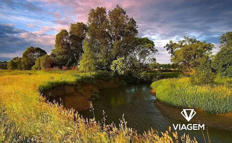 Prodej pole, Ostrava, 5678 m2