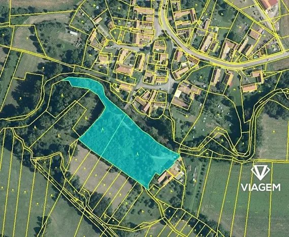 Prodej podílu lesa, Chroustovice, 1085 m2