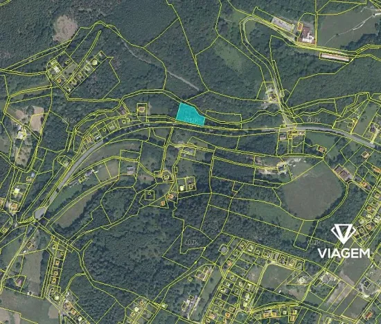 Prodej podílu lesa, Trojanovice, 619 m2