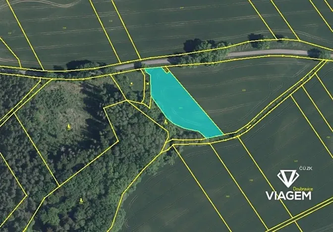 Prodej podílu pole, Častolovice, 1215 m2