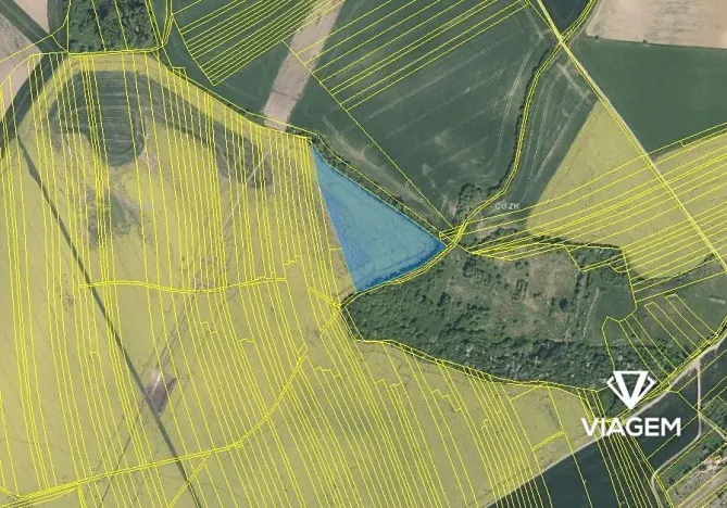 Prodej podílu pole, Koryčany, 3454 m2