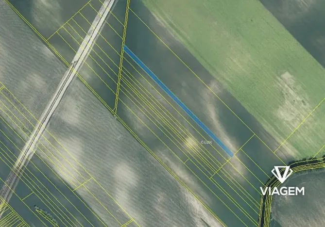 Prodej podílu pole, Mutěnice, 2791 m2