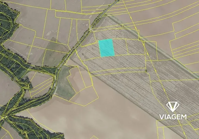 Prodej podílu pole, Praha, 1990 m2