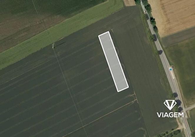 Prodej pole, Bořitov, 2000 m2