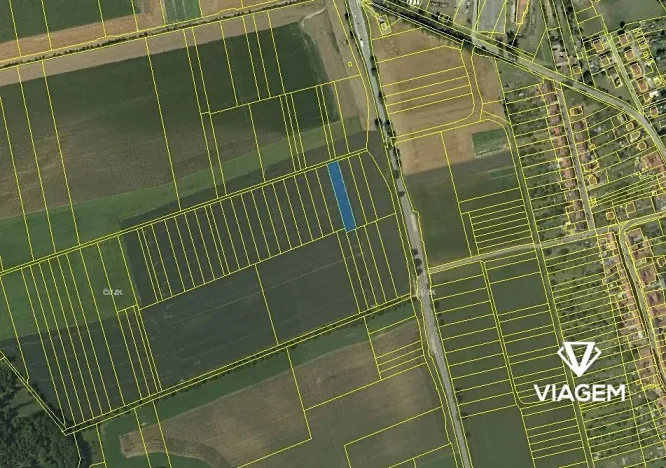 Prodej pole, Bořitov, 2000 m2