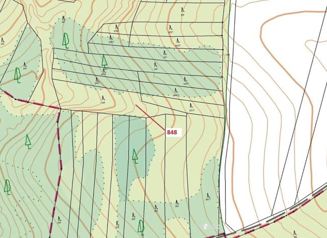 Dražba lesa, Moravské Budějovice, 2338 m2