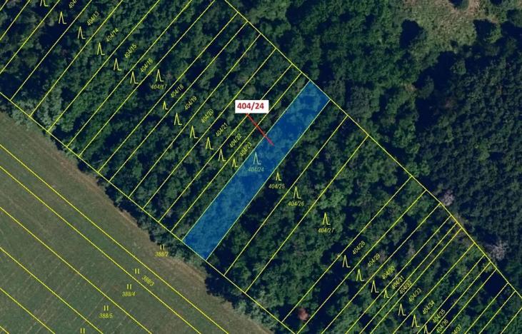 Dražba lesa, Ivančice, 741 m2