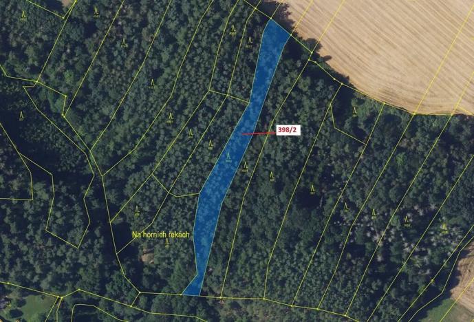 Dražba lesa, Žďárec, 2615 m2