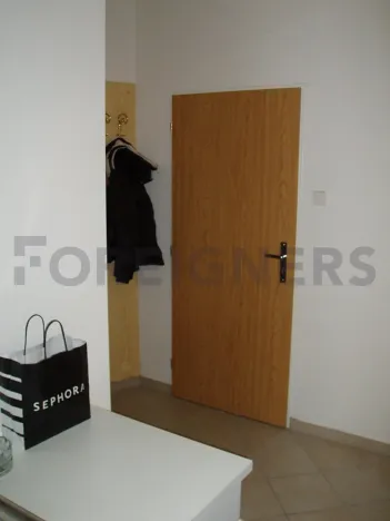 Pronájem bytu 1+kk, Praha - Vinohrady, Lužická, 17 m2