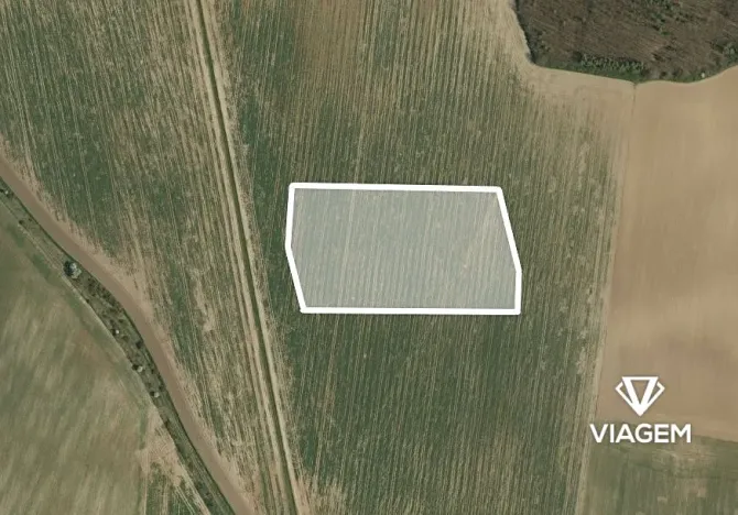 Prodej pole, Vinařice, 12754 m2