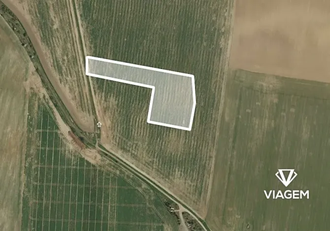 Prodej pole, Vinařice, 12775 m2