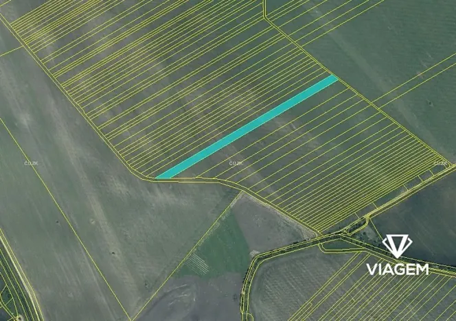 Prodej podílu pole, Velké Pavlovice, 2216 m2