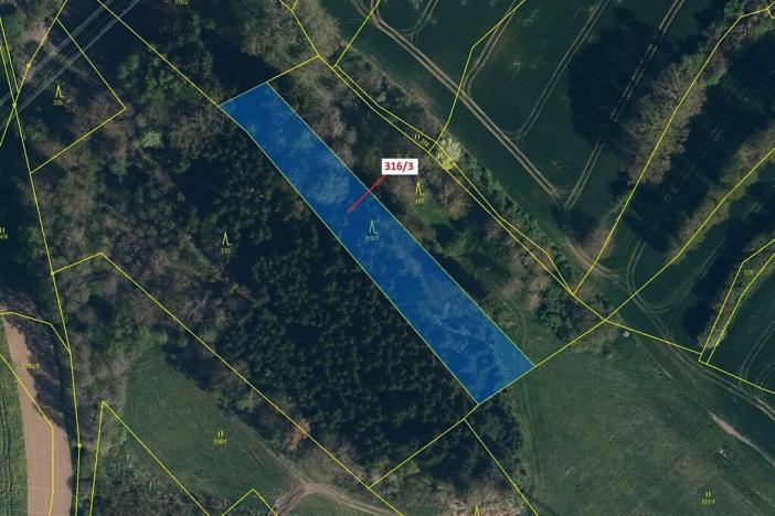 Dražba lesa, Olešná, 2554 m2