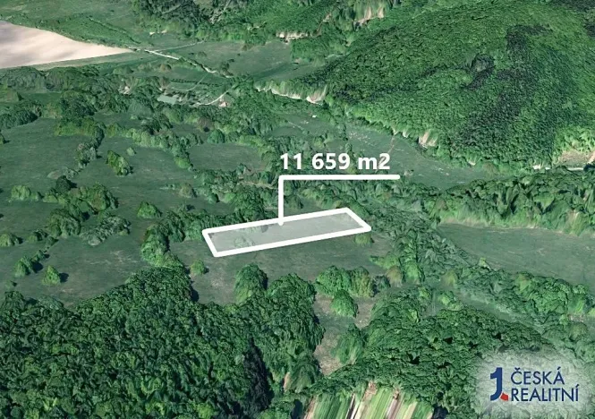 Prodej podílu pole, Javorník, 2914 m2