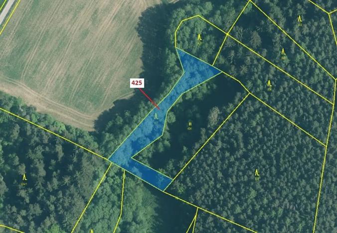 Dražba lesa, Kuřimany, 1719 m2