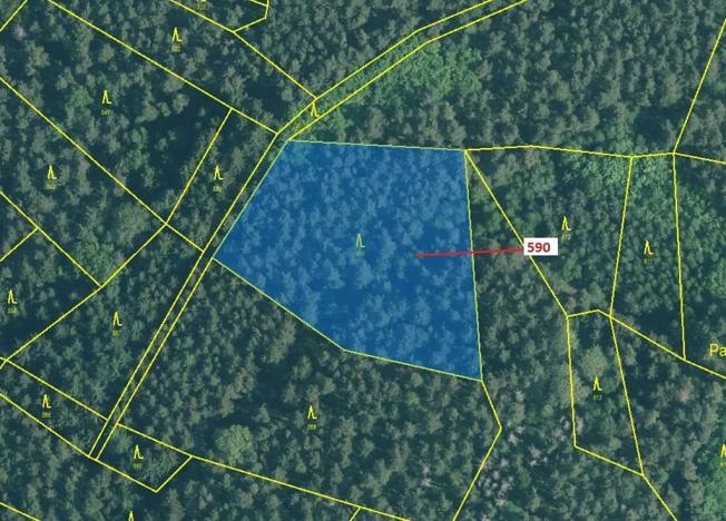 Dražba lesa, Kuřimany, 4807 m2