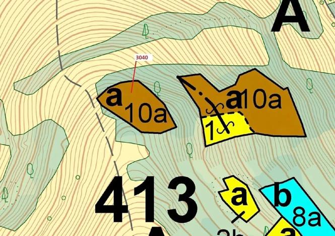 Dražba lesa, Zděchov, 2428 m2