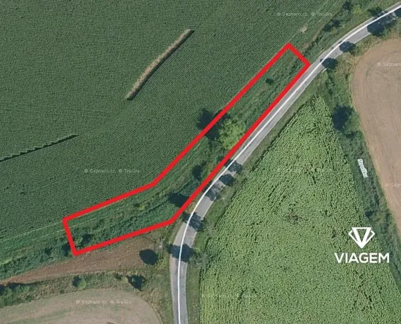 Prodej pole, Rybníky, 1037 m2