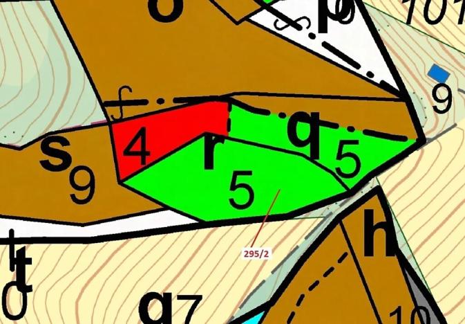 Dražba lesa, Kuřimany, 3255 m2