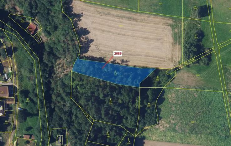 Dražba lesa, Žďárec, 1861 m2