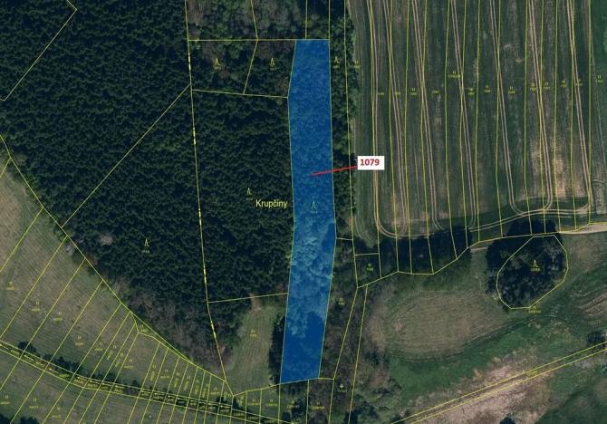 Dražba lesa, Žirovnice, 5041 m2