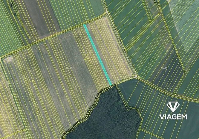 Prodej podílu pole, Uherský Brod, 453 m2