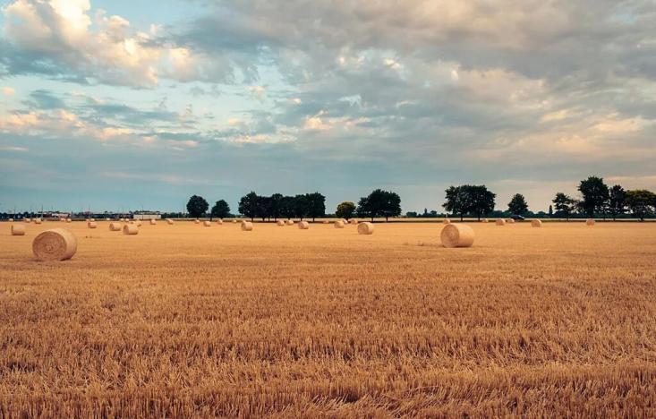 Prodej podílu pole, Střezimíř, 15264 m2