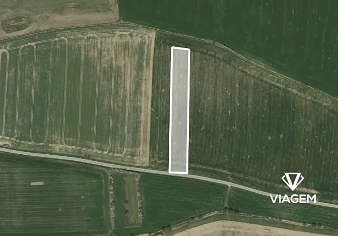 Prodej podílu pole, Dražíč, 641 m2