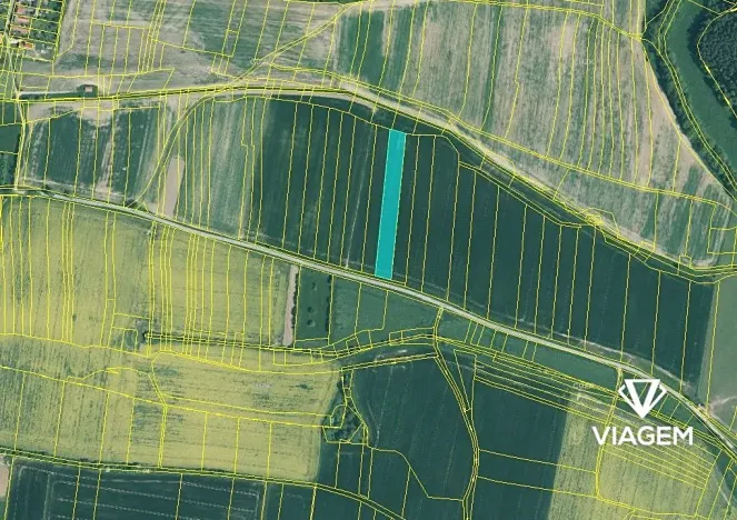 Prodej podílu pole, Dražíč, 641 m2