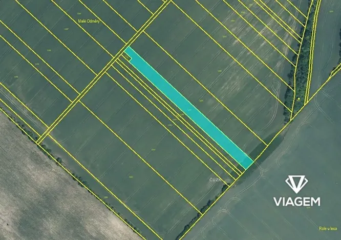 Prodej podílu pole, Mutěnice, 511 m2