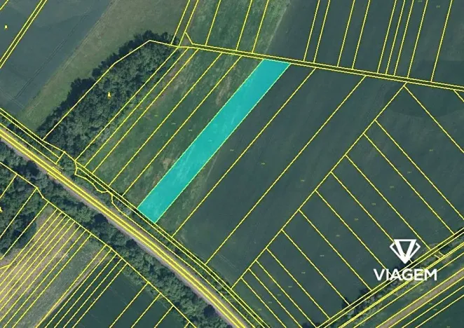 Prodej podílu pole, Veselí nad Moravou, 3972 m2