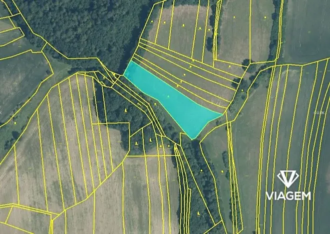 Prodej pole, Kelč, 5577 m2