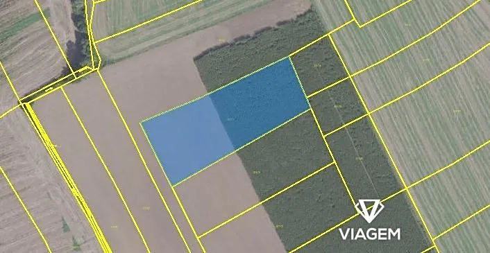 Prodej podílu pole, Praha - Královice, 3321 m2