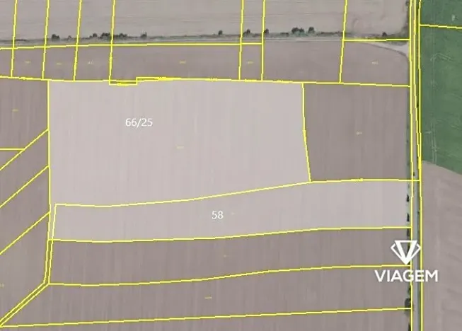 Prodej podílu pole, Máslovice, 7716 m2