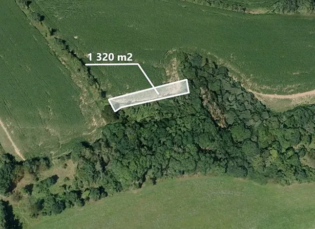 Prodej pole, Koryta, 1320 m2