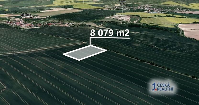 Prodej podílu pole, Zborovice, 6059 m2