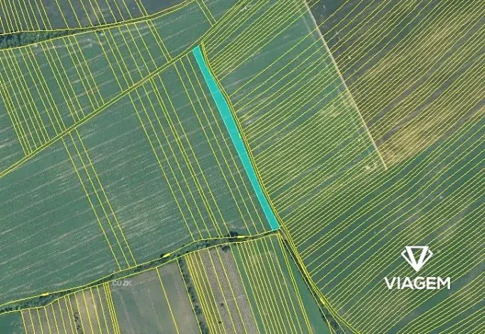 Prodej podílu pole, Ořechov, 2732 m2