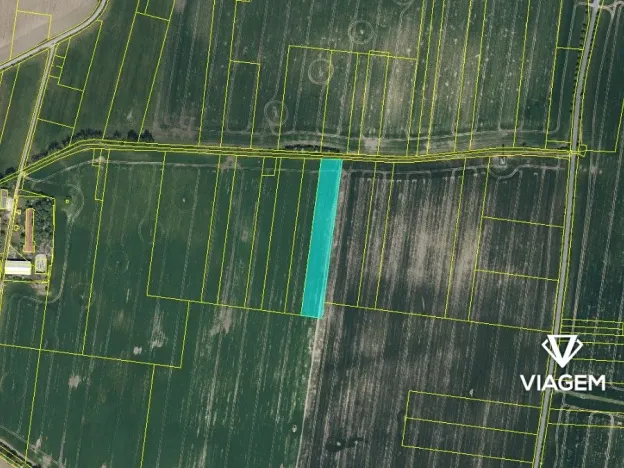 Prodej podílu pole, Holice, 3294 m2