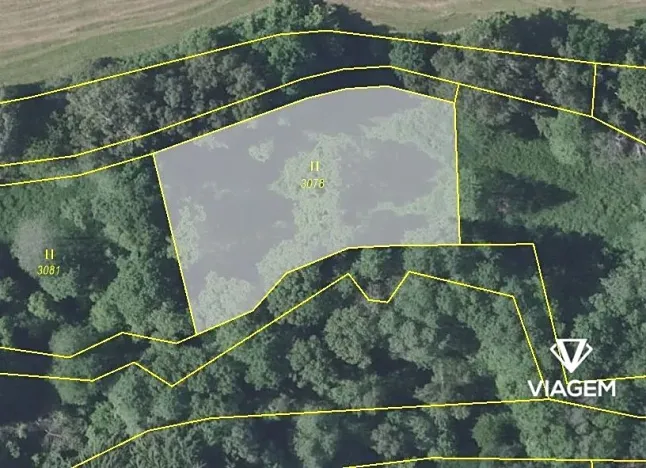 Prodej podílu pole, Pravonín, 1005 m2