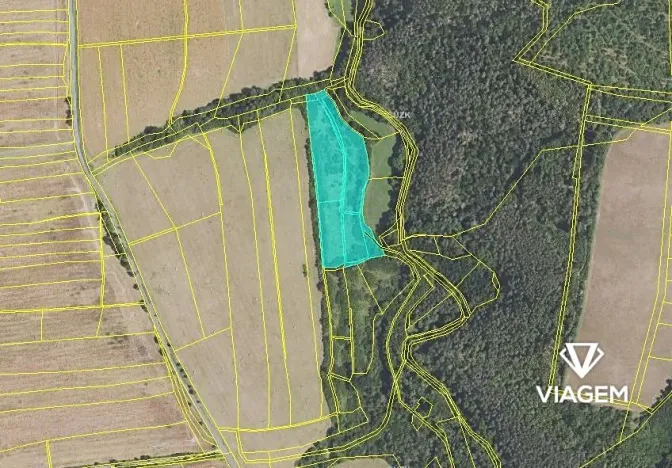 Prodej podílu pole, Slabce, 669 m2