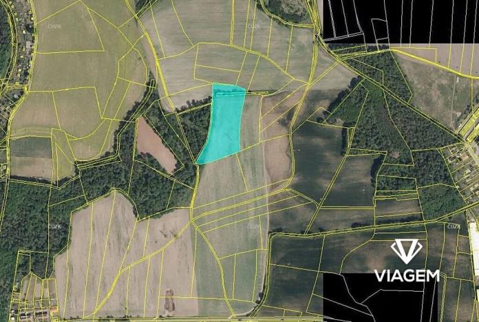 Prodej podílu pole, Lázně Bohdaneč, 1983 m2