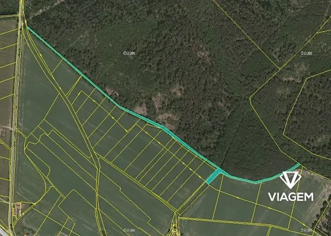Prodej podílu pole, Radenín, 2423 m2