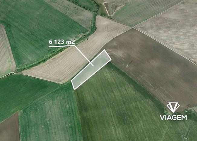 Prodej podílu pole, Veleň, 1530 m2