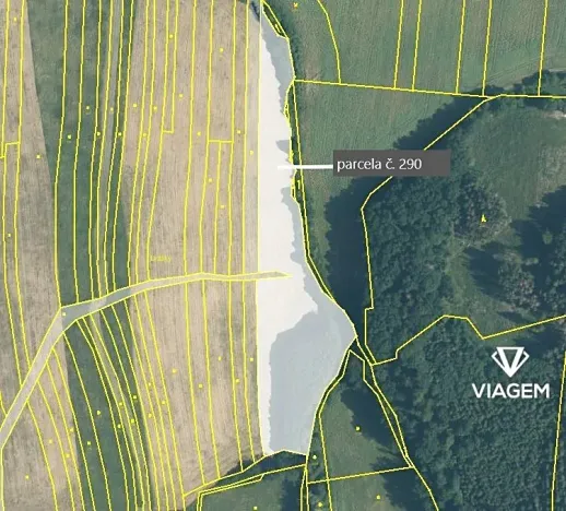 Prodej podílu pole, Podolí, 5893 m2
