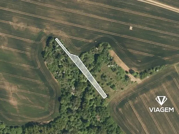 Prodej pole, Jalubí, 788 m2