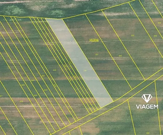 Prodej podílu pole, Újezdec, 955 m2