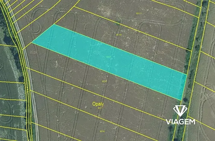 Prodej podílu pole, Hoštice, 3597 m2